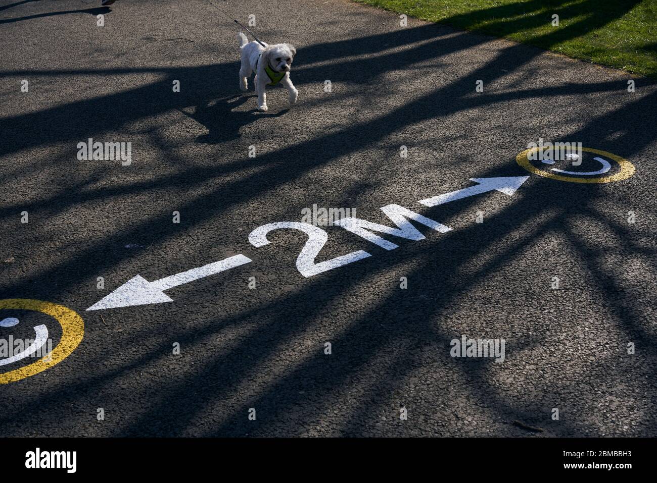 Ein soziales Distanzierungsszeichen, das während der Coronavirus-Pandemie in Irland auf dem Bürgersteig in einem Dublin-Park gemalt wurde. Stockfoto