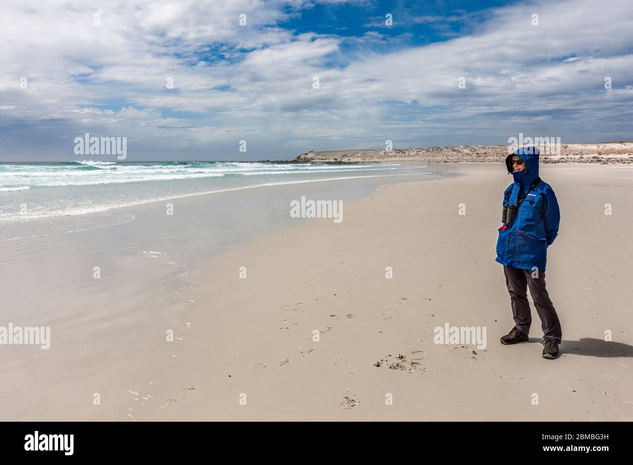 Freiwilligenstelle; Strand; Frau; Falklands Stockfoto