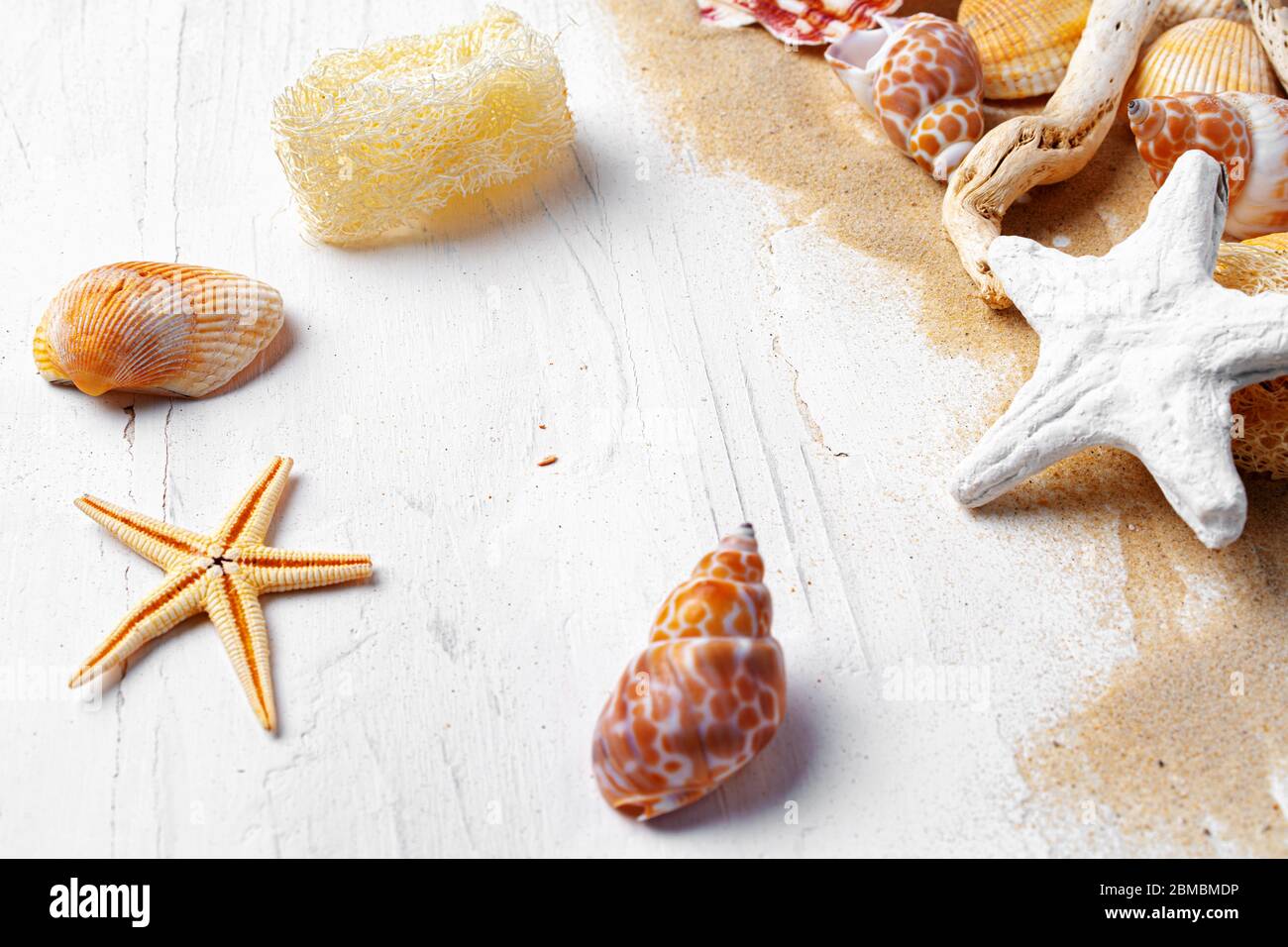 Sommerurlaub Konzept mit Muscheln auf weißen Brettern aus der Nähe Stockfoto