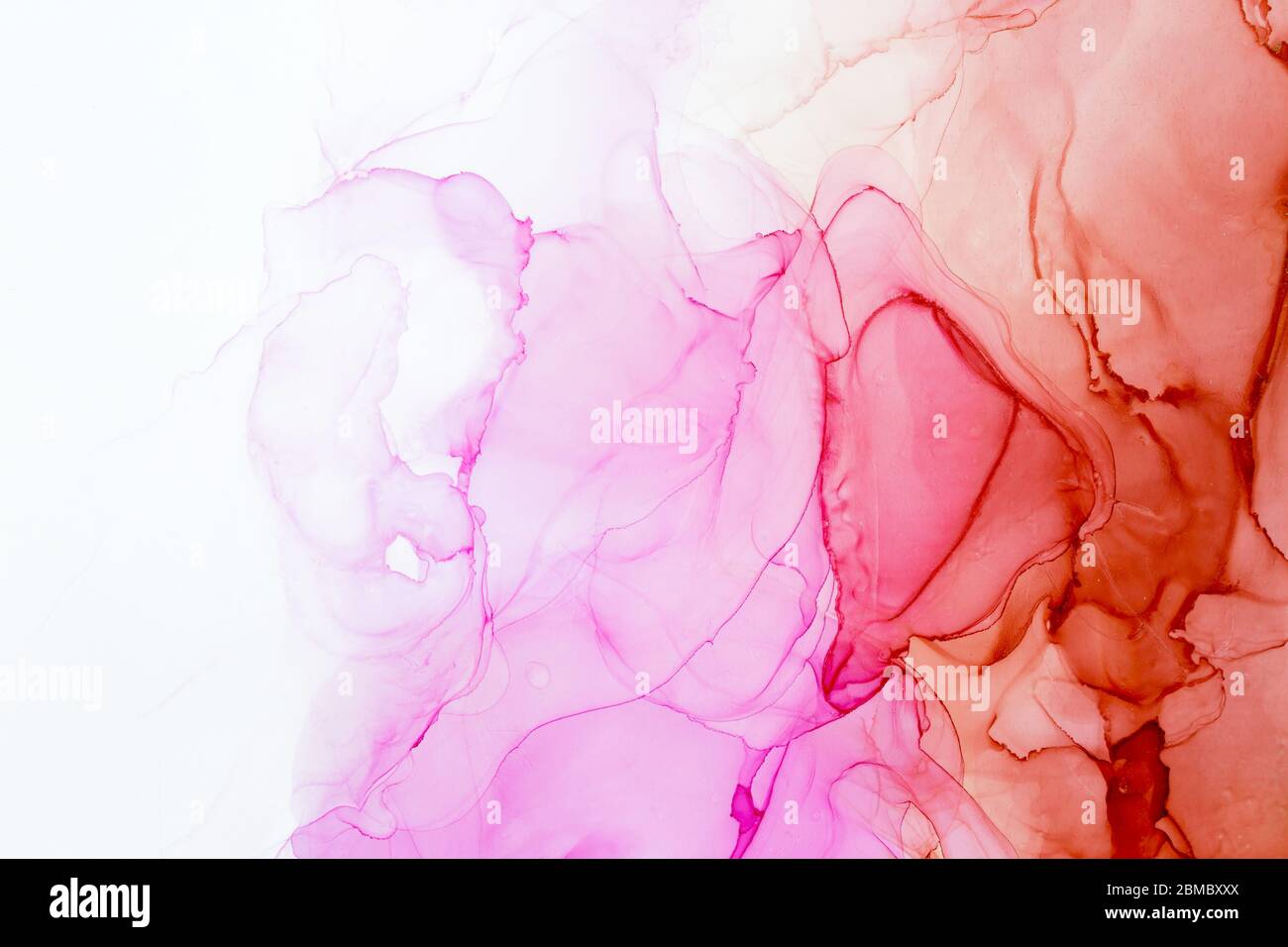 Elegante rosa und rot abstrakten Hintergrund. Tintendesign. Trendige Tapete. Moderne zeitgenössische Kunst Stockfoto