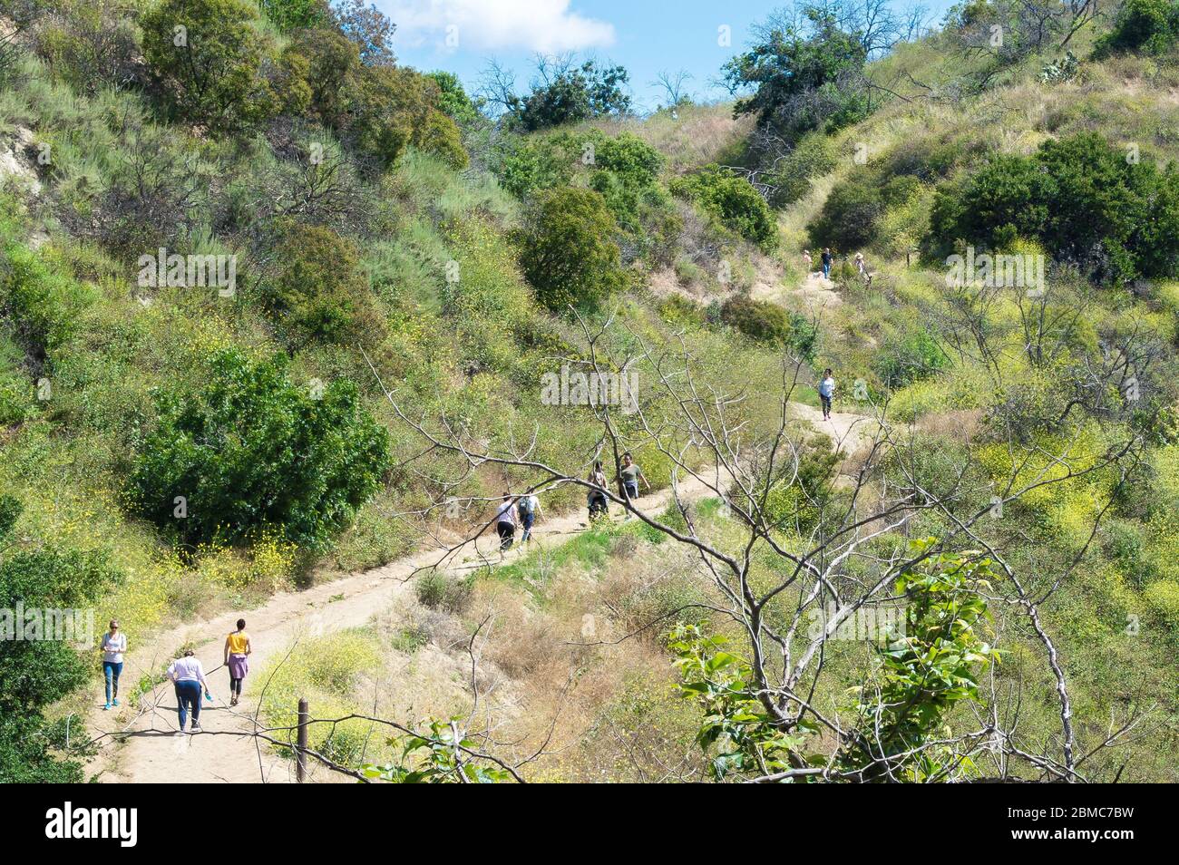 Menschen wandern auf einem steilen Feldweg in den üppigen grünen Santa Monica Mountains in der Nähe von Los Angeles, Kalifornien USA an einem sonnigen Tag Stockfoto