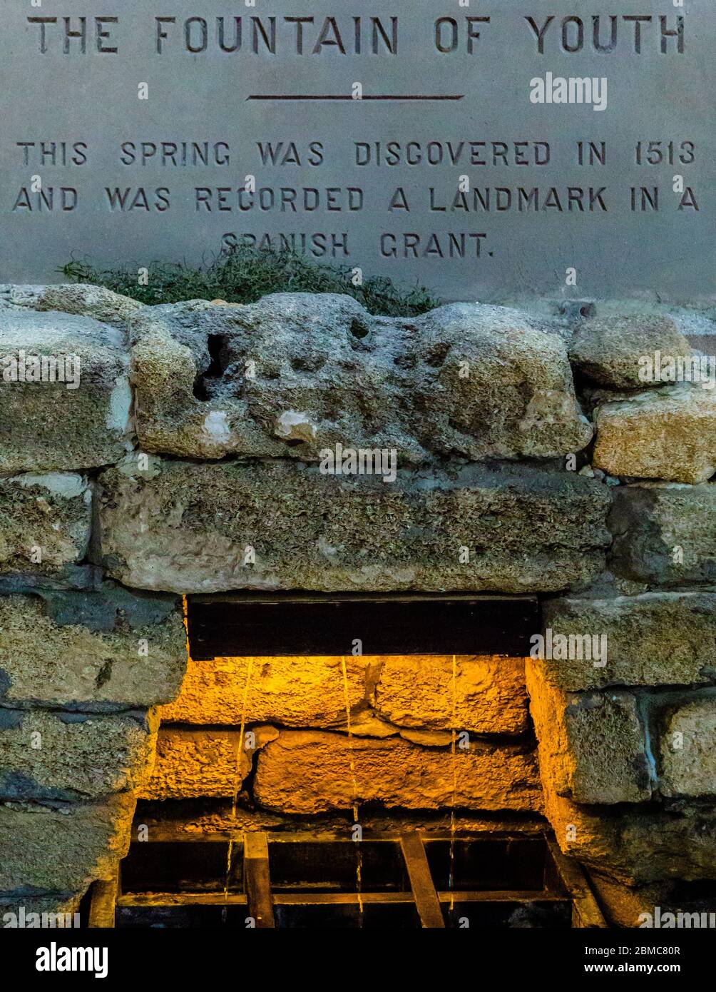 Jungbrunnen Stockfoto