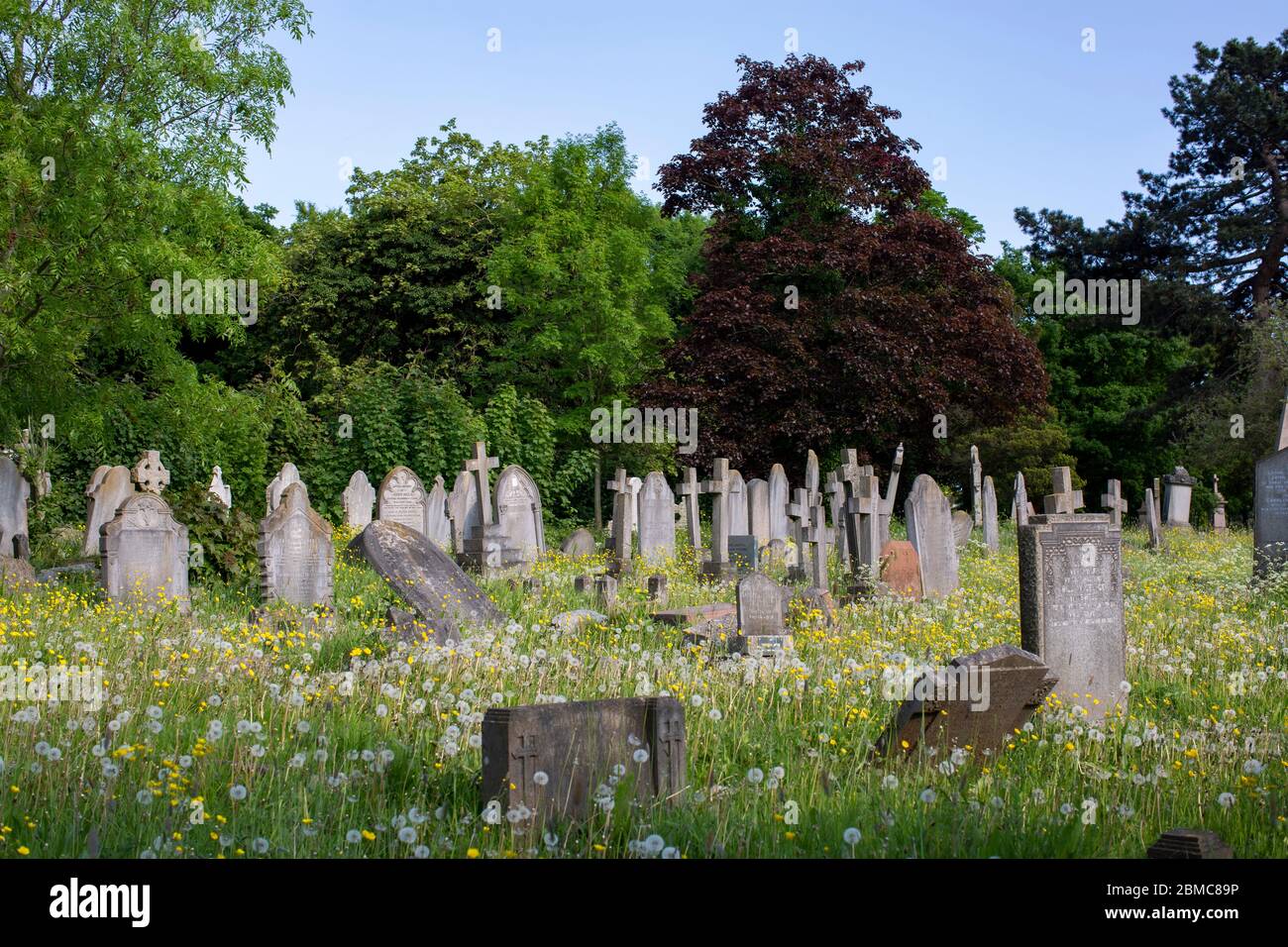 West Norwood, Großbritannien. Mai 2020. West Norwood Cemetery zum 75. Jahrestag des VE Day in South London, England. West Norwood Cemetery ist ein 40 Hektar großer ländlicher Friedhof in West Norwood in London, England. Es war auch bekannt als der South Metropolitan Cemetery. Der Friedhof enthält 52 Commonwealth-Kriegsgräber aus dem Zweiten Weltkrieg und 136 aus dem Ersten Weltkrieg (Foto von Sam Mellish / Alamy Live News) Stockfoto