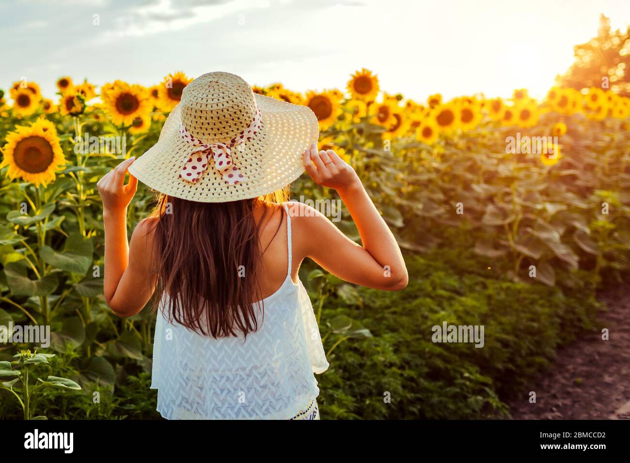 Frau, die im blühenden Sonnenblumenfeld geht, das Strohhut hält, die blühende Blumenlandschaft genießt. Sommerurlaub Stockfoto Frau, die im blühenden Sonnenblumenfeld geht, das Strohhut hält, die blühende Blumenlandschaft genießt. Sommerurlaub Stockfoto