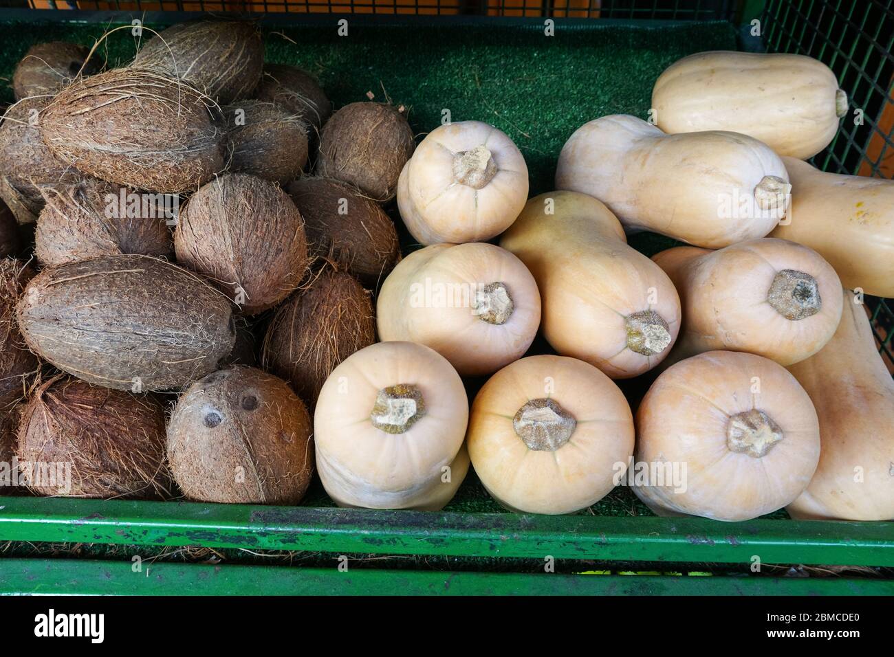 Kokosnussfrüchte und Butternusspeitschen zum Verkauf Stockfoto
