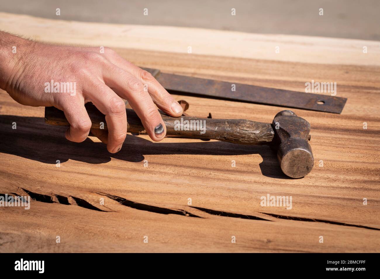 Hand eines Zimmermanns mit schwarzen Fingernägeln, der einen alten Vintage-Hammer von einer Holzplatte aufgreift. Ein Arbeitsunfall mit Trauma an den Fingern, die zu einer Uneinwirkung führen Stockfoto