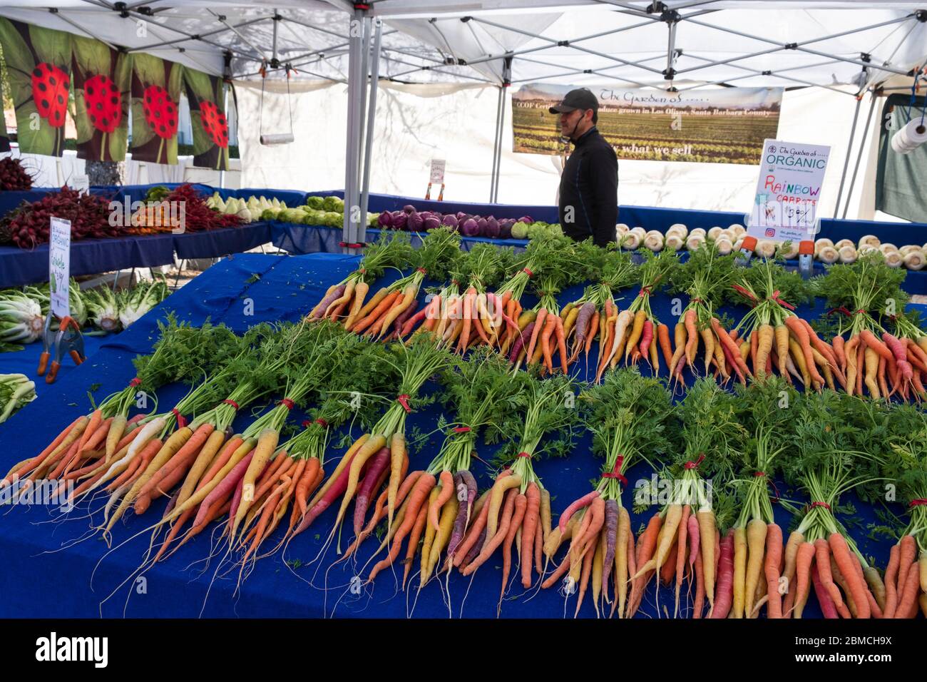 Bio-Regenbogen Karotten auf dem Saturday Farmers Market, Santa Barbara, Kalifornien, USAA Stockfoto