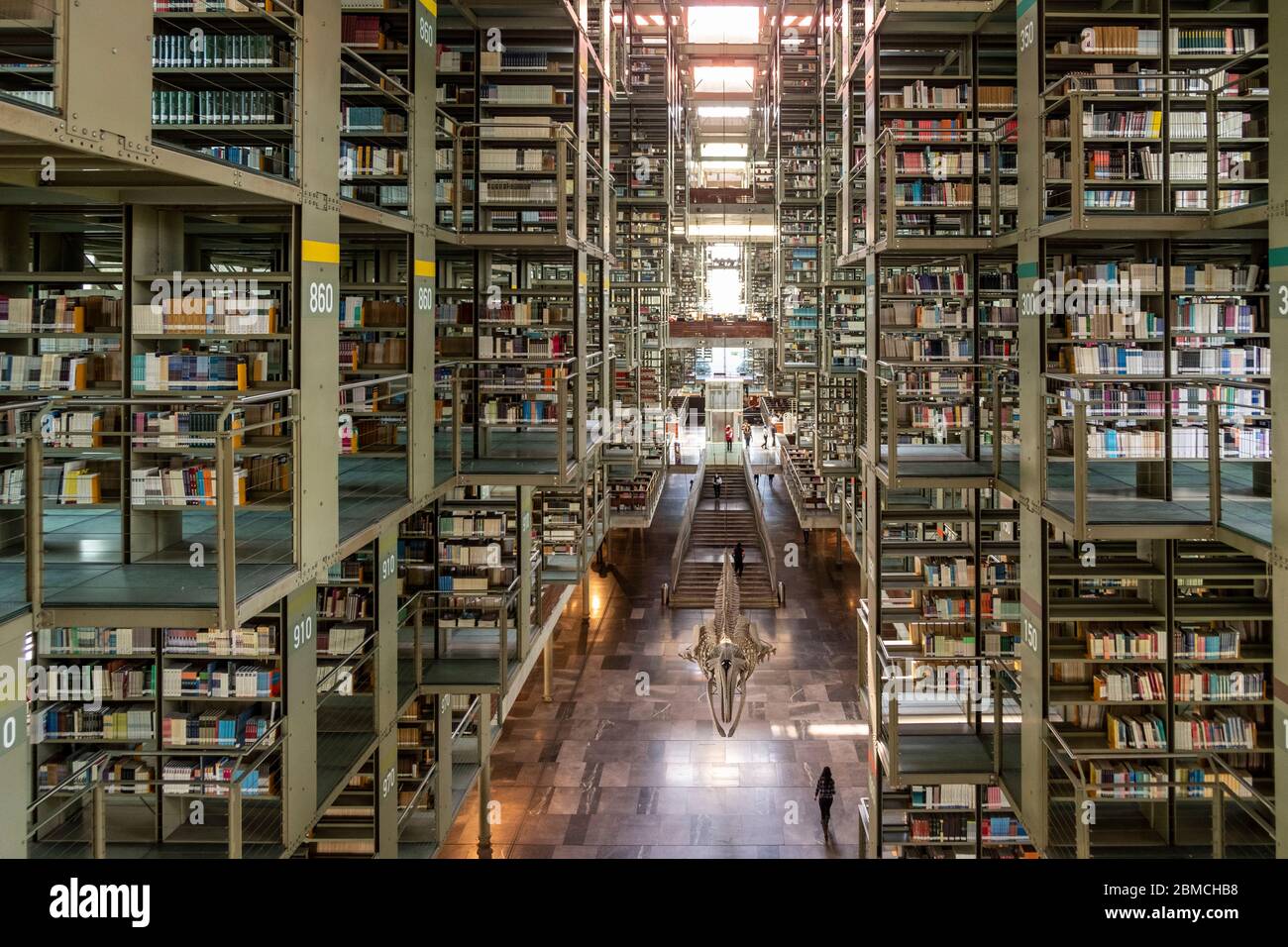 Riesige Bibliothek (38,000 Quadratmeter oder 409,000 Quadratfuß) Biblioteca Vasconcelos Mexiko-Stadt, Mexiko Stockfoto