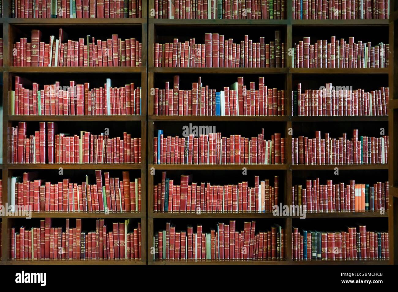 Nahaufnahme der Bücher der Bibliothek, Mexiko-Stadt, Mexiko Stockfoto