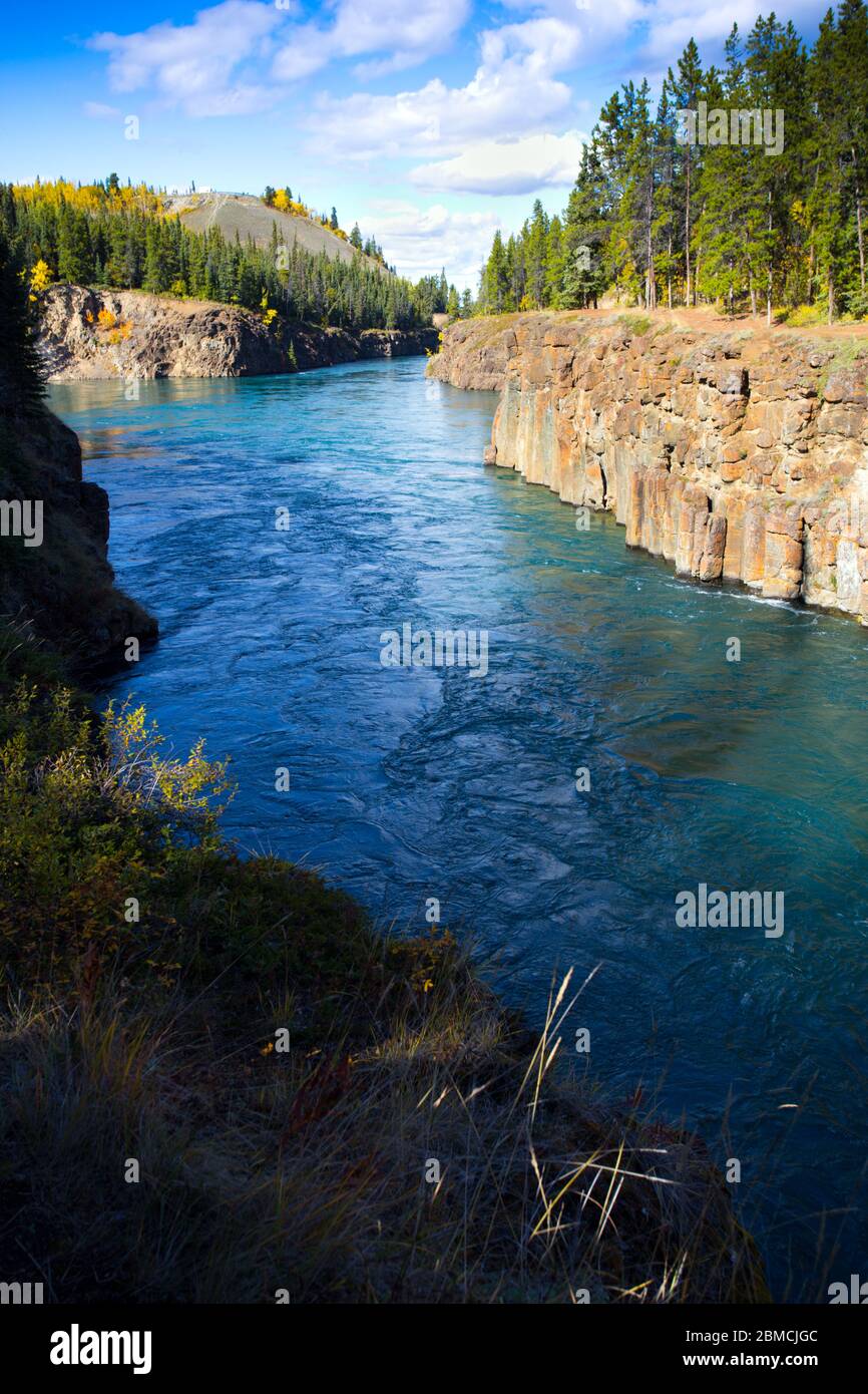 Der Yukon River, der durch den Miles Canyon fließt, in der Nähe von Whitehorse, Yukon Territories, Kanada. Stockfoto