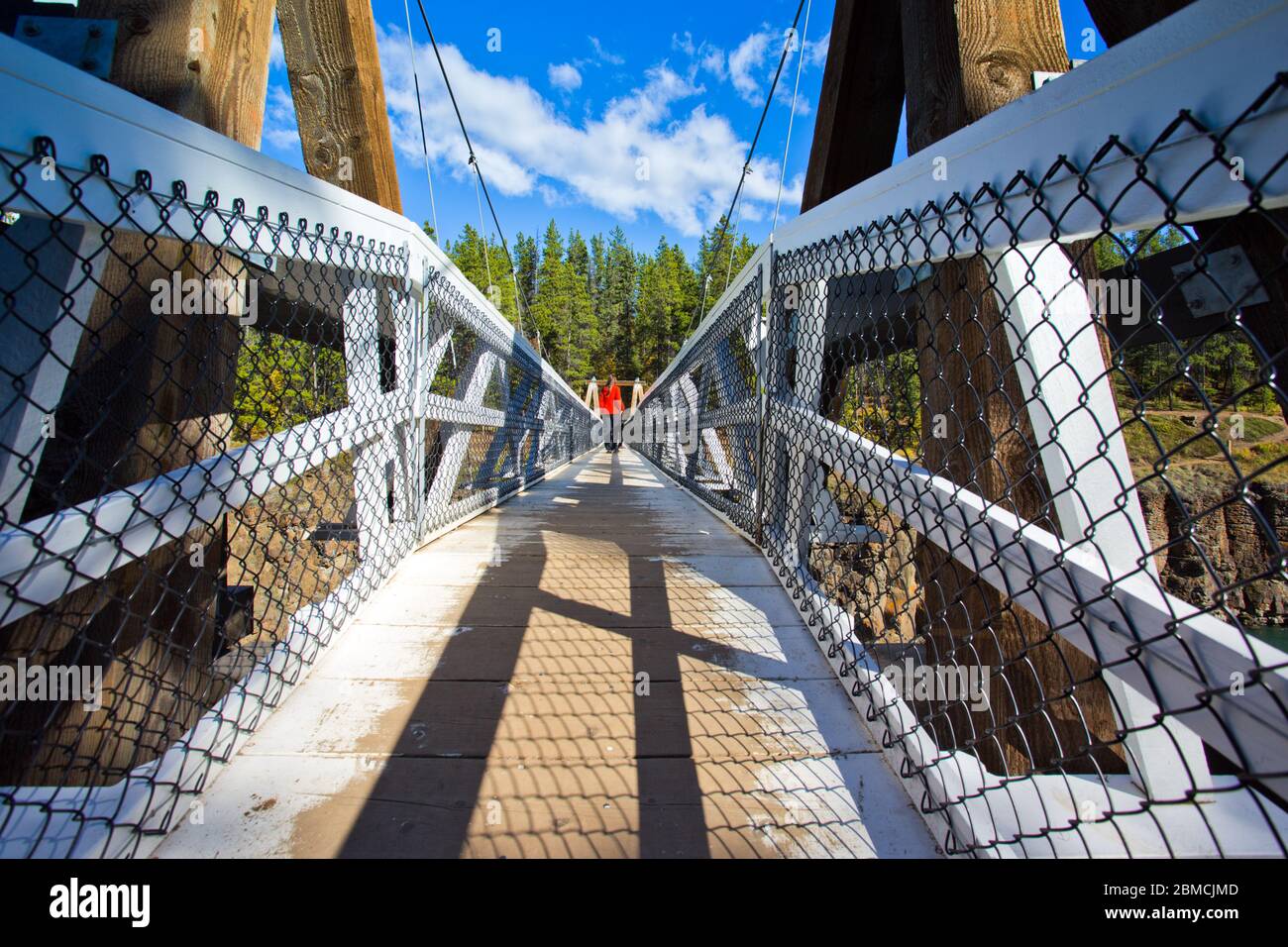 Robert Lowe Hängebrücke über den Yukon River am Miles Canyon, außerhalb von Whitehorse, Yukon Territories, Kanada. Stockfoto