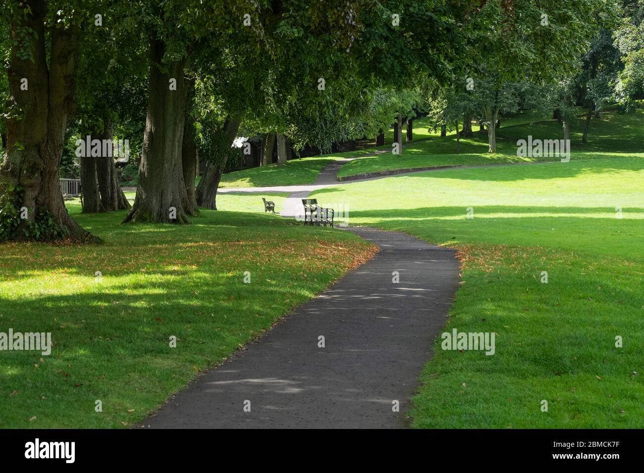 Parks, Bäume und Bänke Stockfoto