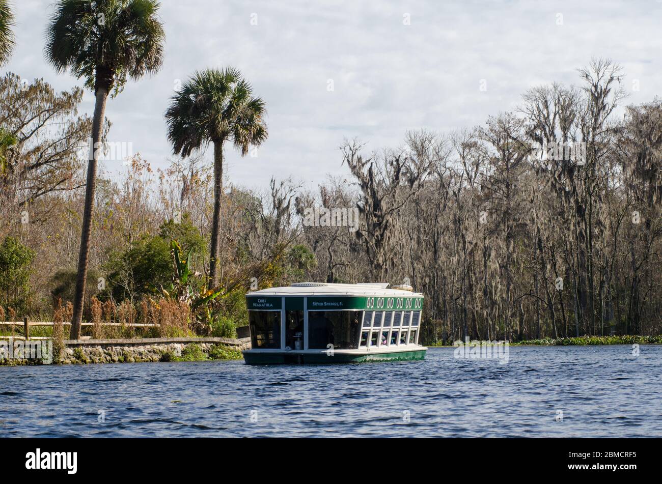 Eine Glasbodenboottour auf dem Silver River im Silver Springs State Park in Florida Stockfoto