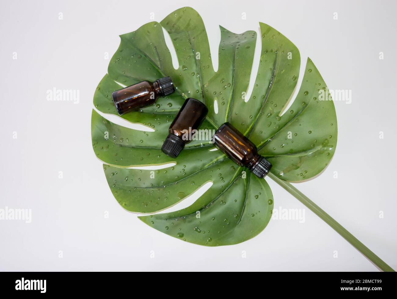 Grünes Blatt mit drei essentiellen Glasfläschchen Stockfoto