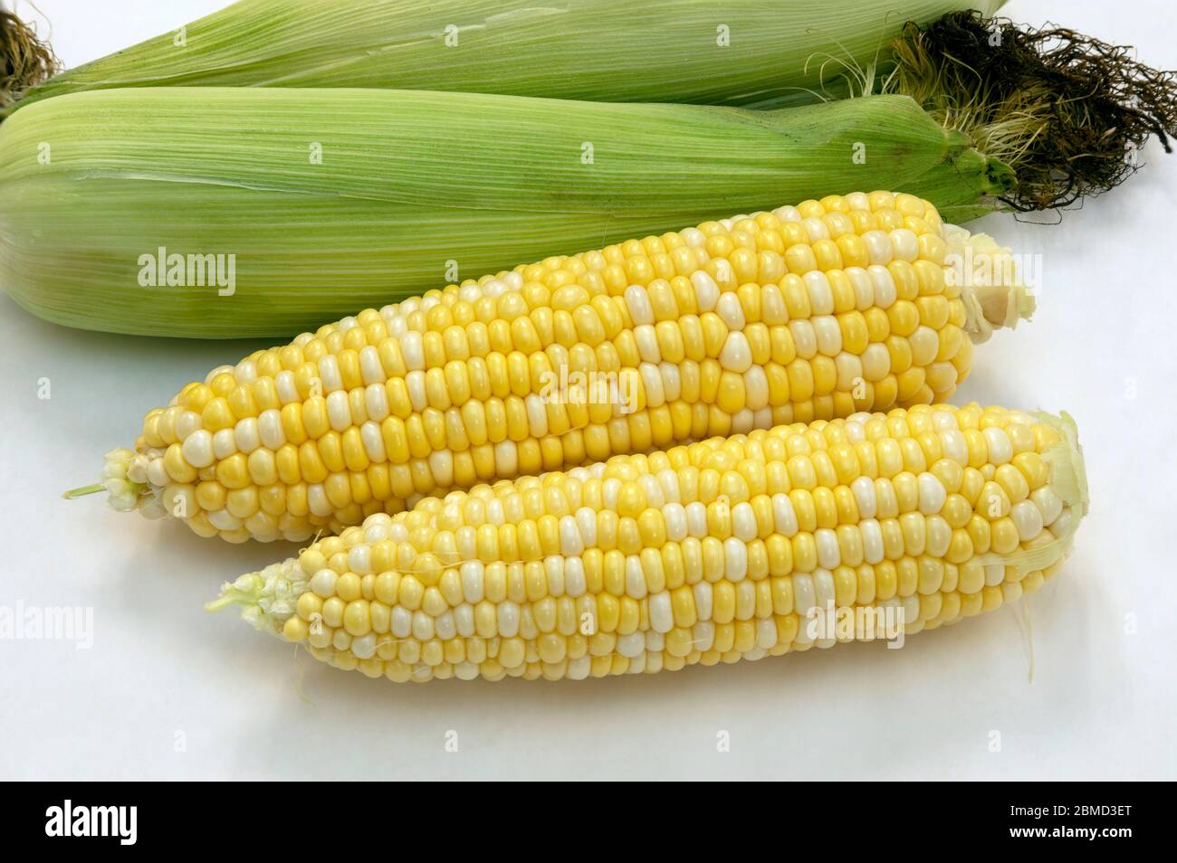 Süßer Mais, von James D Coppinger/Dembinsky Photo Assoc Stockfoto
