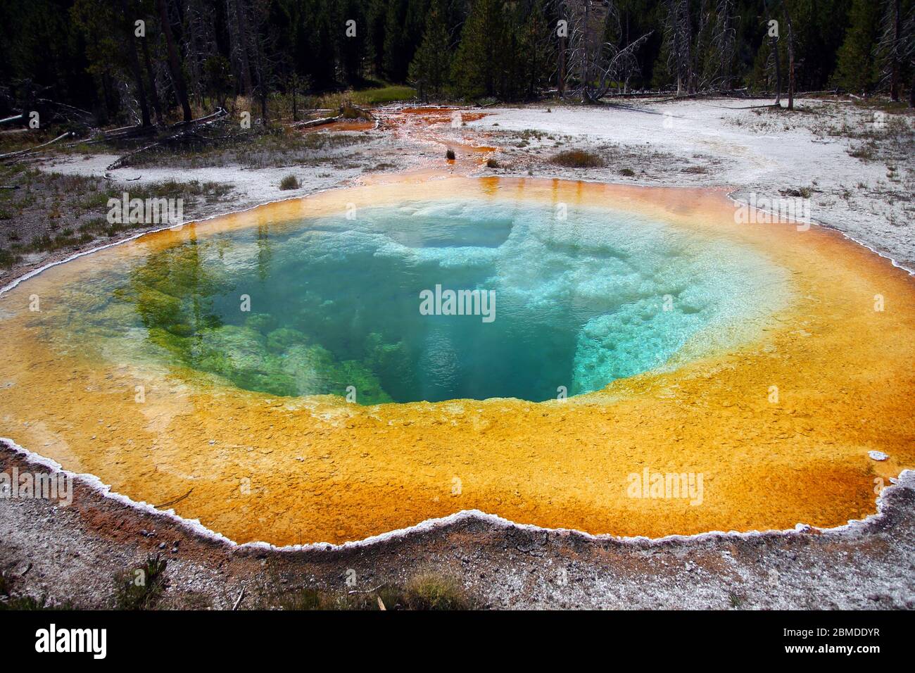 Der unglaubliche Morning Glory Pool Stockfoto
