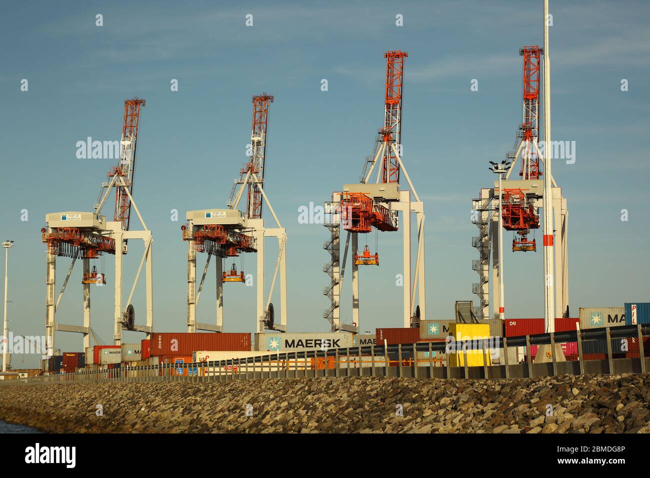 Hafen von Tauranga Stockfoto