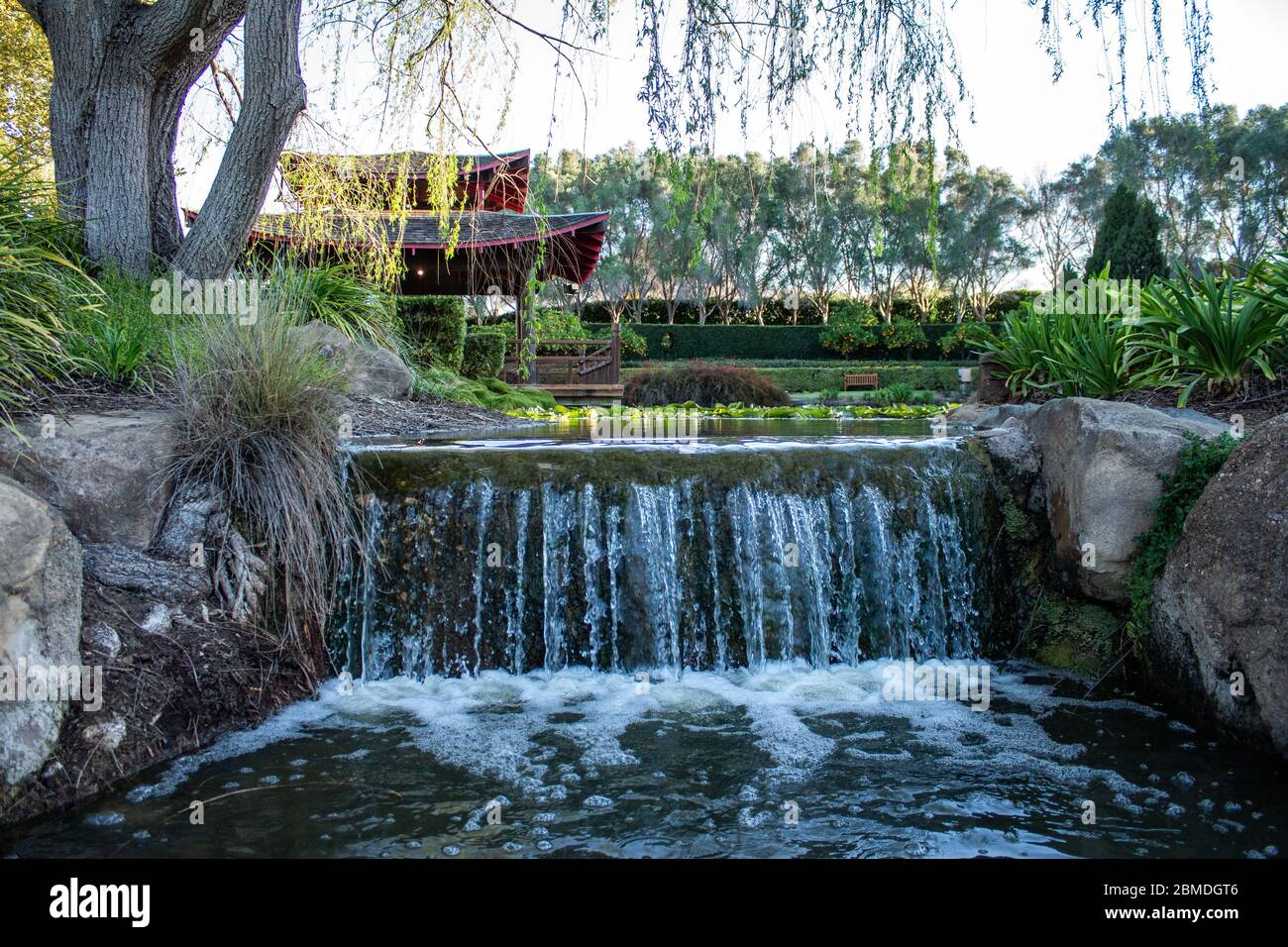 Wasserfall im chinesischen Stil Gartenteich mit Seerosen, umgeben von Bäumen Stockfoto