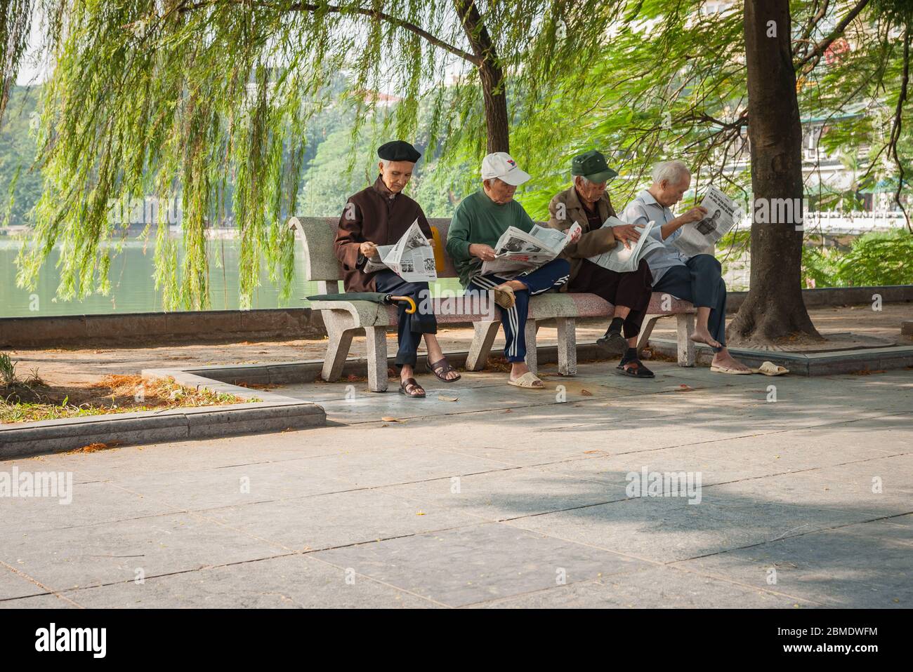 Hanoi Vietnam Oktober 25 2013; vier vietnamesische ältere Männer sitzen zusammen auf Parkbank im Schatten unter Weide Baum durch See alle lesen ihre Zeitung Stockfoto