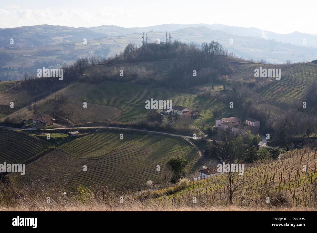 Italien Panorama der Piemont Weinberge: Langhe Hügel bei Canelli Stockfoto