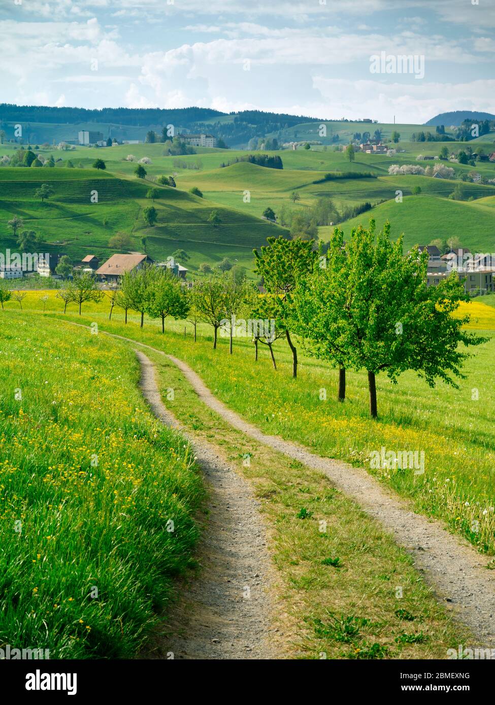 Blick auf die sanften Hügel und die schöne Landschaft von Neuheim im Kanton Zug, Schweiz. Stockfoto