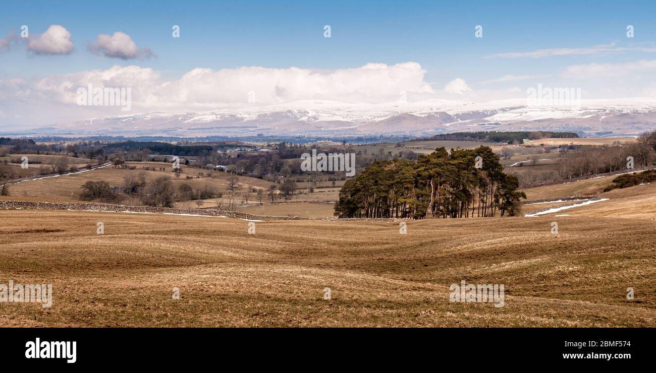 Die Sonne scheint auf der hügeligen Ackerlandschaft des Eden Valley, unter den schneebedeckten Fjälls der North Pennines. Stockfoto