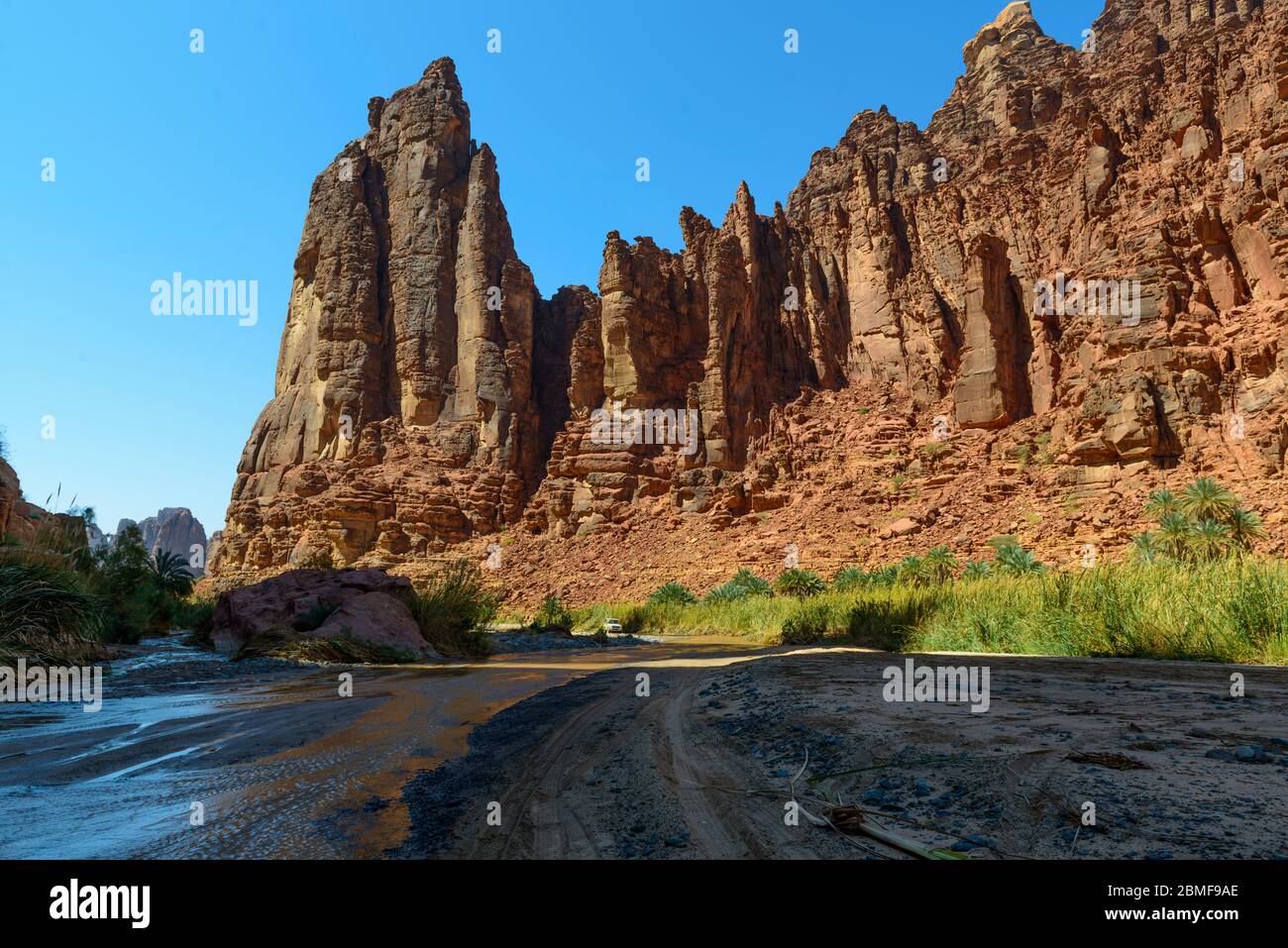 Wadi Disah. Tabuk Region, Saudi-Arabien. Stockfoto