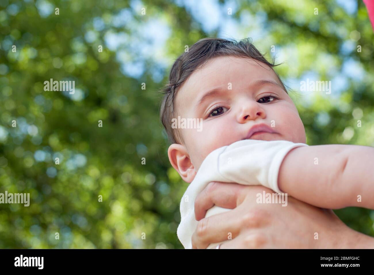 Baby Junge, der auf einem grünen Grund auf die Kamera schaut Stockfoto