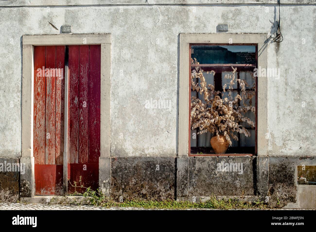 Vorderansicht einer alten Mauer mit einer roten Tür und einem Fenster mit einer trockenen Pflanze in einem Topf. Stockfoto