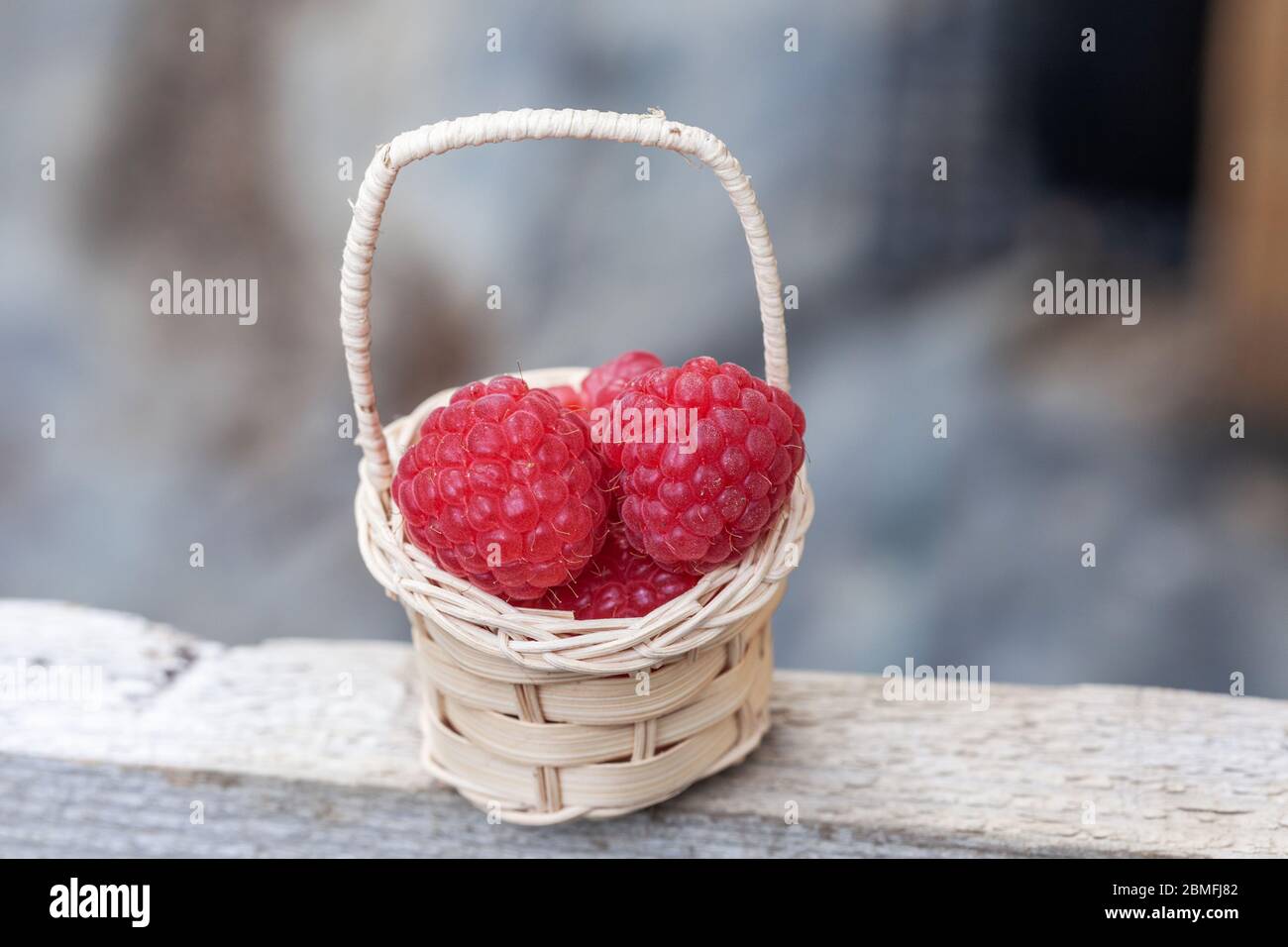 Korbkorb mit roten Himbeeren Stockfoto