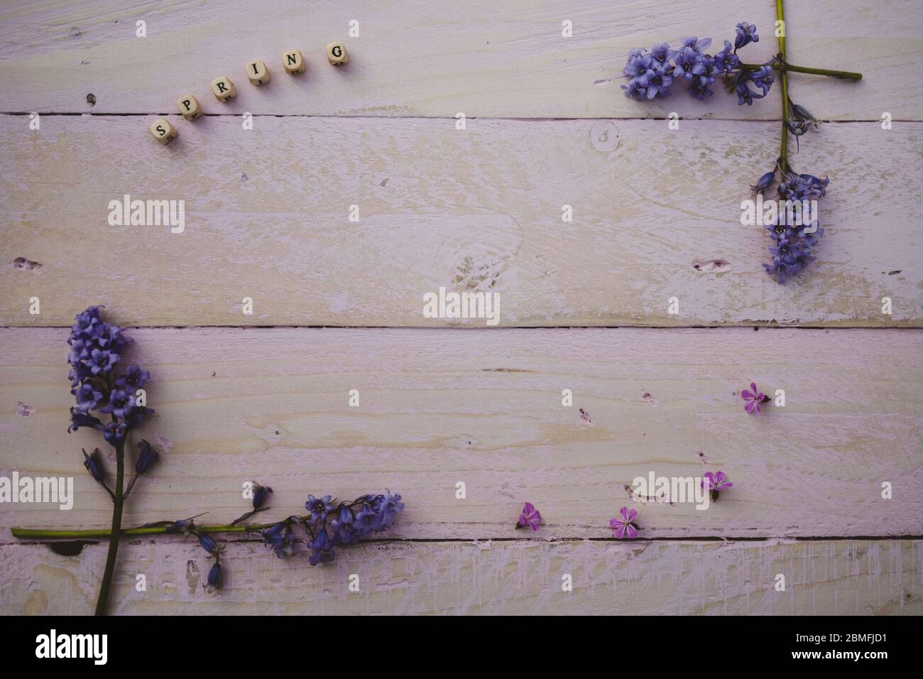 Flaches Foto mit blauen Glockenblumen mit dem Wort Frühling mit Perlen ausgeschrieben Stockfoto