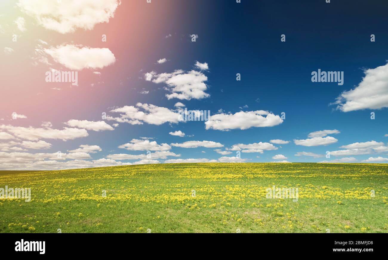 Grünes Feld bei sonnigem Tag mit blauem Himmel und Wolken Stockfoto