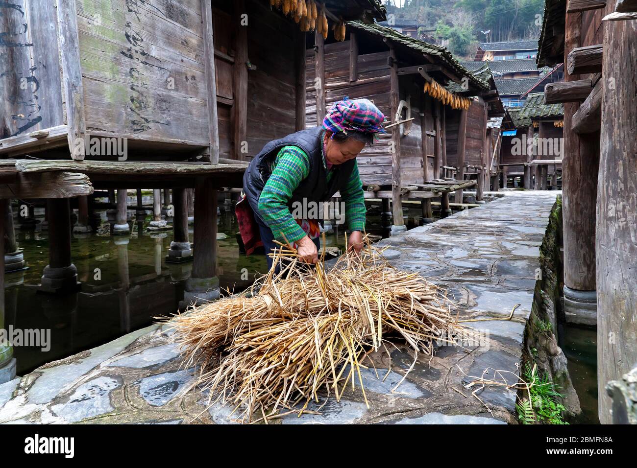 Eine ältere Frau mit ihrer Ladung Heu. Sie ist von der Datang kurzen Rock Miao Minderheit Menschen. Kaili Gebiet, Guizhou Provinz, China Stockfoto