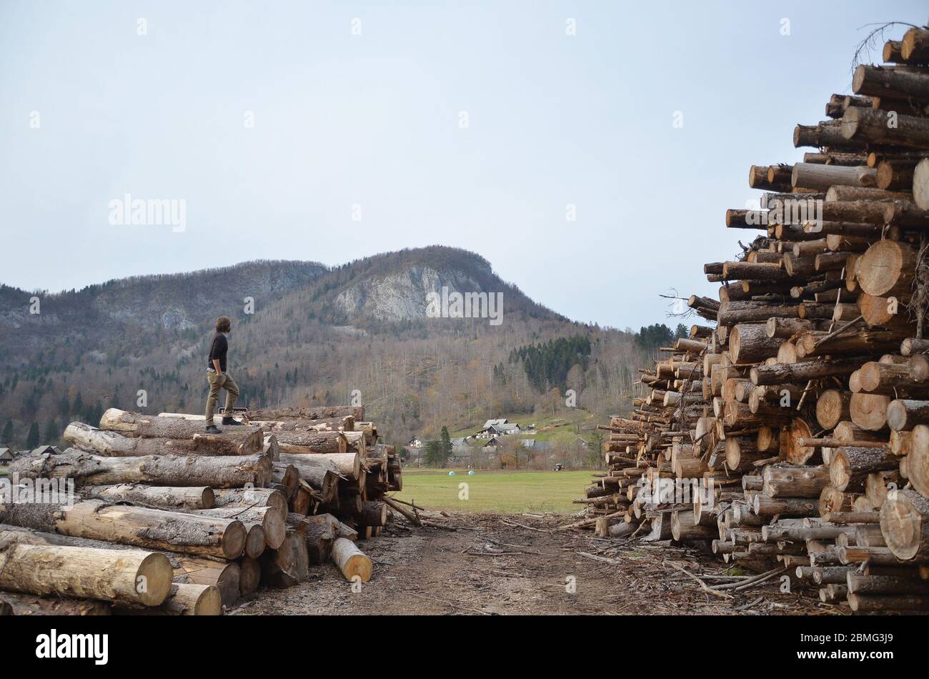 Ein kaukasischer Mann, der auf den Holzstämmen steht und den Blick auf die Berge am Rande Sloweniens überblickt. Stockfoto