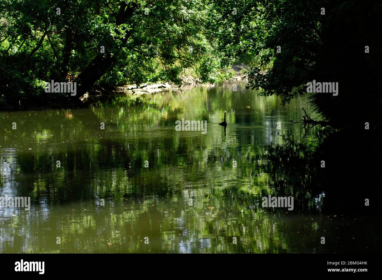 AJAXNETPHOTO. 2015. CORBIE, SOMME, FRANKREICH. - DER ALTE FLUSS SOMME, DER GERADE STROMAUFWÄRTS VOM SOMME-KANAL VERLÄUFT, IN DEN ER FLIESST. FOTO: JONATHAN EASTLAND/AJAX REF:D150107 5494 Stockfoto