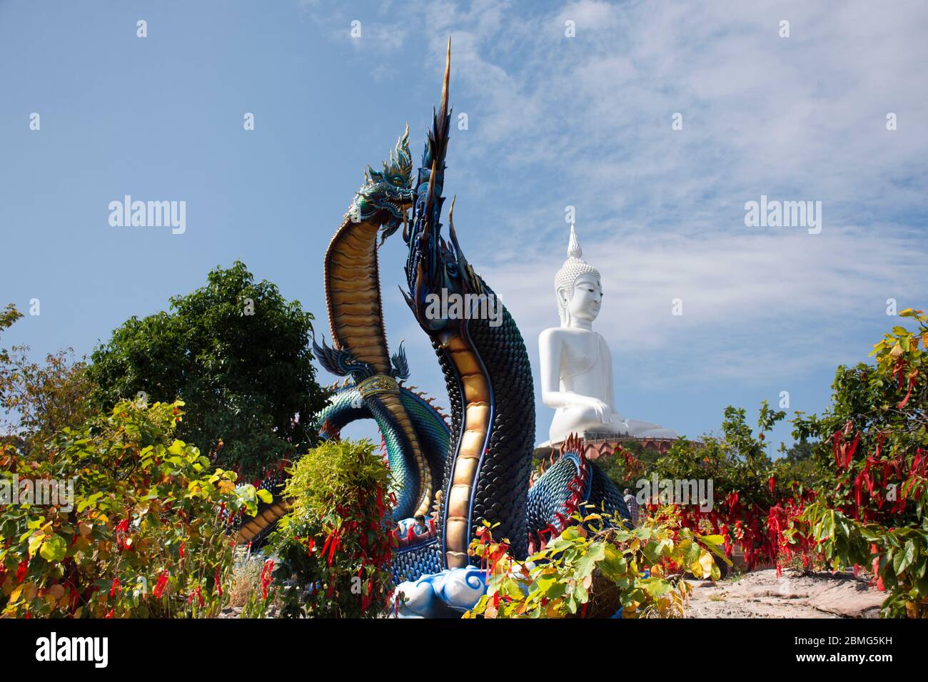 Große blaue Naka und weiße buddha-Statue im Wat ROI Phra Phutthabat Phu Manorom für thai-Menschen und Ausländer Reisende Reise Besuch und Respekt beten Stockfoto