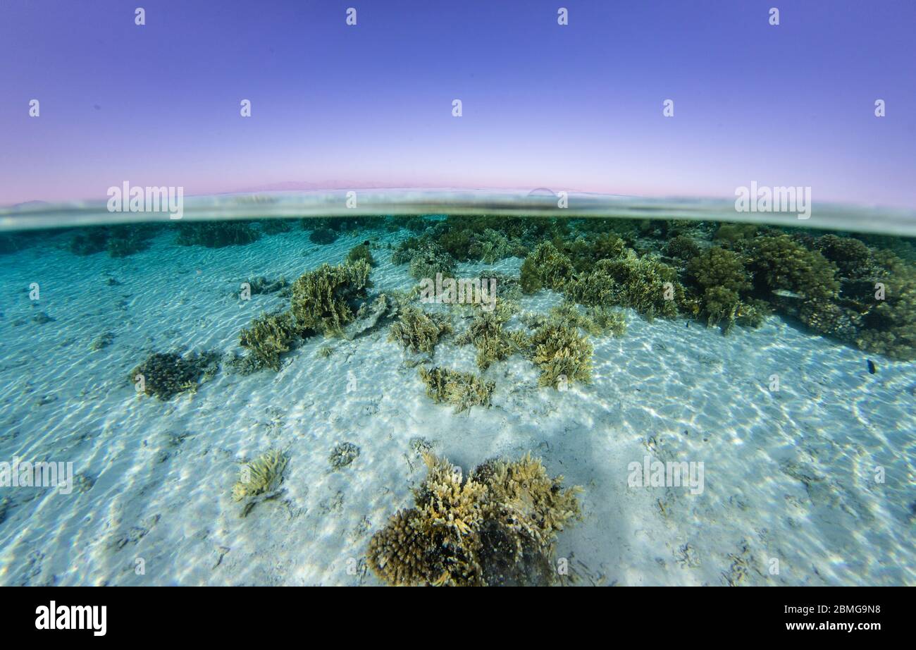 Über unter Split-Bild von seichtem Wasser von einem typischen Küstenblick entlang der Küste des Roten Meeres. Stockfoto