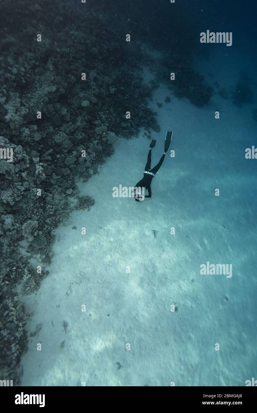 Free Diver Tauchen unter Wasser im Roten Meer Stockfoto