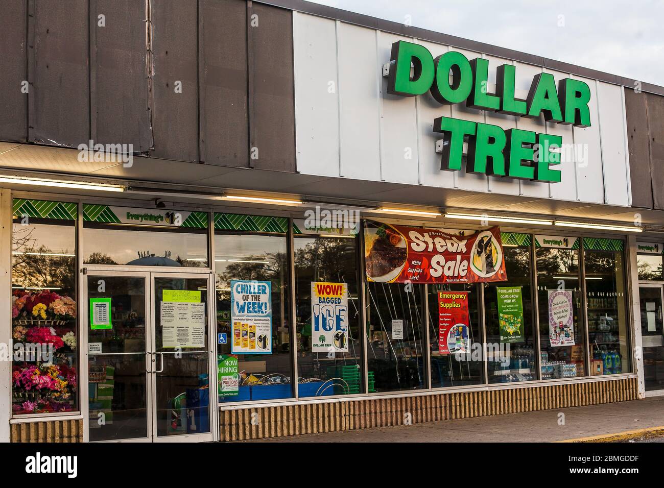 NORWALK, CT, USA - 8. MAI 2020: Melden Sie sich während der Coronavirus-Pandemie im Dollar Tree Store an Stockfoto