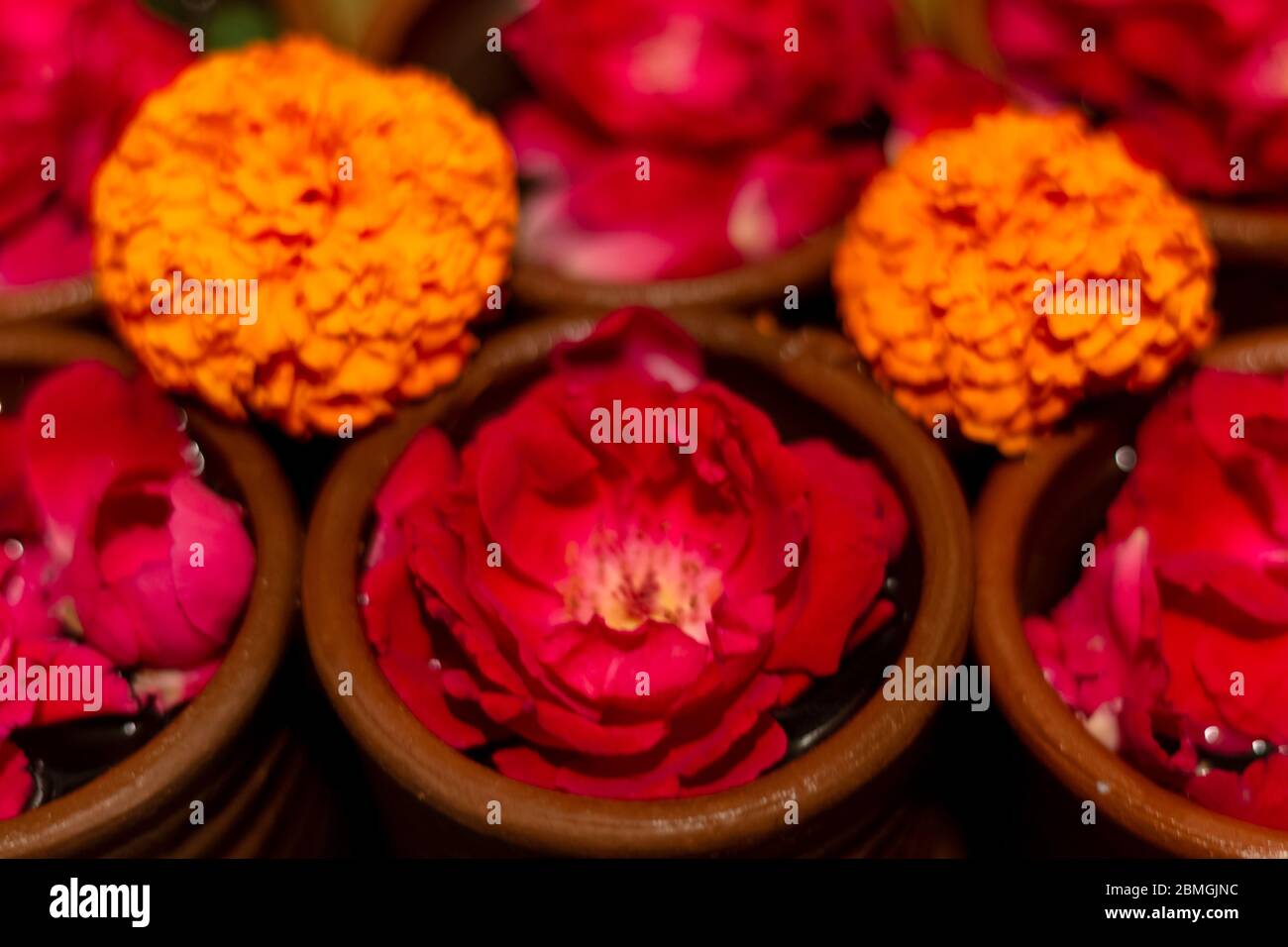 Rode und Marigold Blumen zum Verkauf Stockfoto
