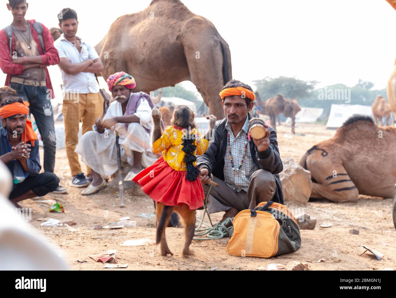 Indischer Mann zieht Touristen für Affen Tanz-Show auf pushkar Messegelände Stockfoto