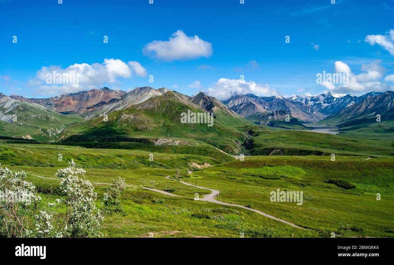 Der Weg führt zur Denali Moutain Range Stockfoto