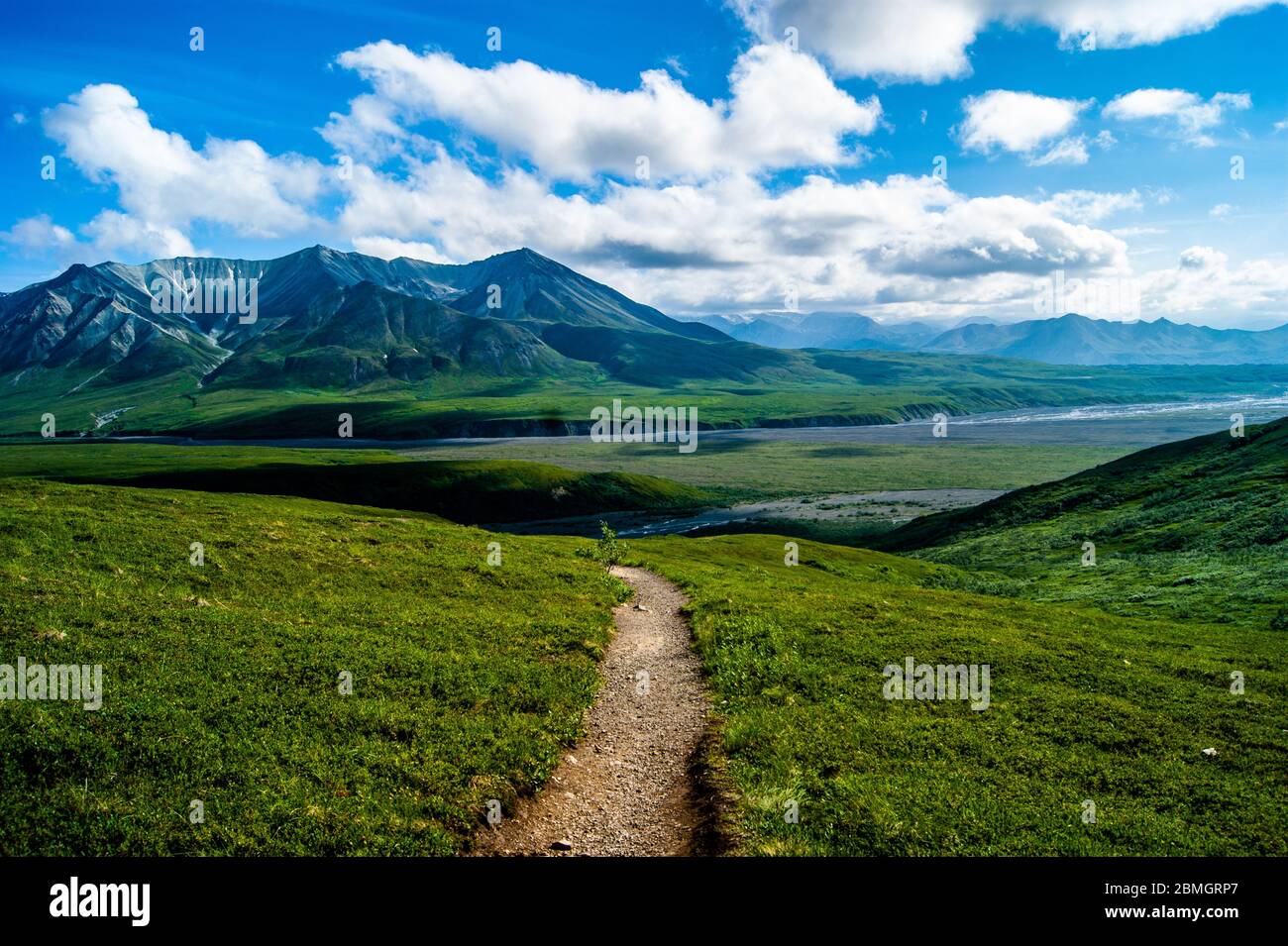 Bergketten acorss Denali in Alsaka Stockfoto