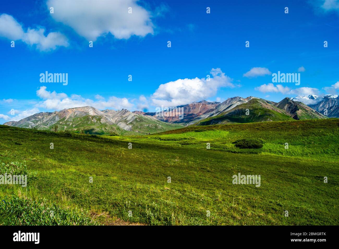 Grünes Gras, das zum Demali Gebirge führt Stockfoto