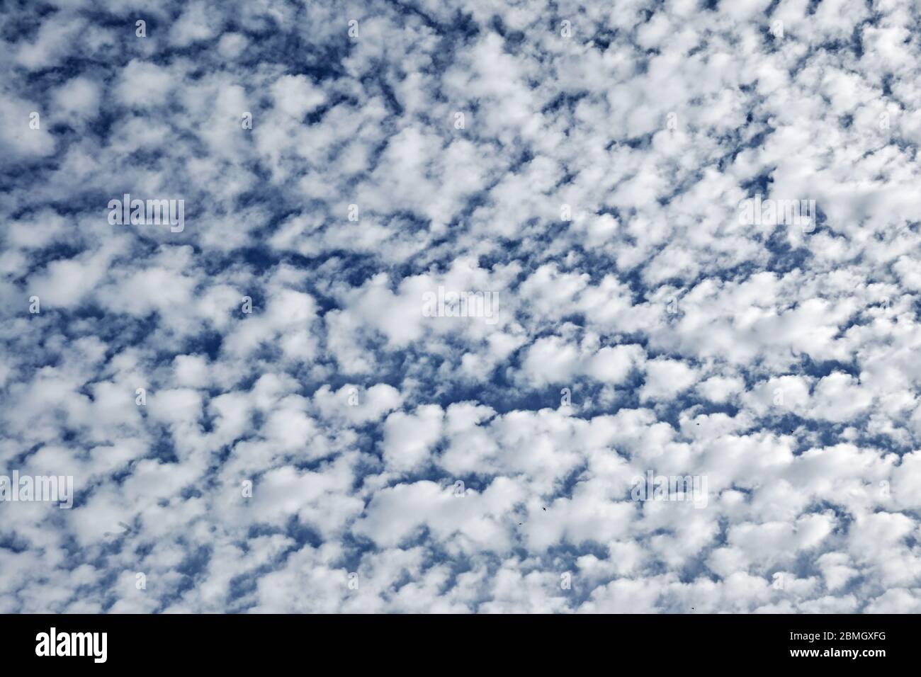 Wolken, Bildung von Altocumulus, Altocumulus perlucidus Stockfoto