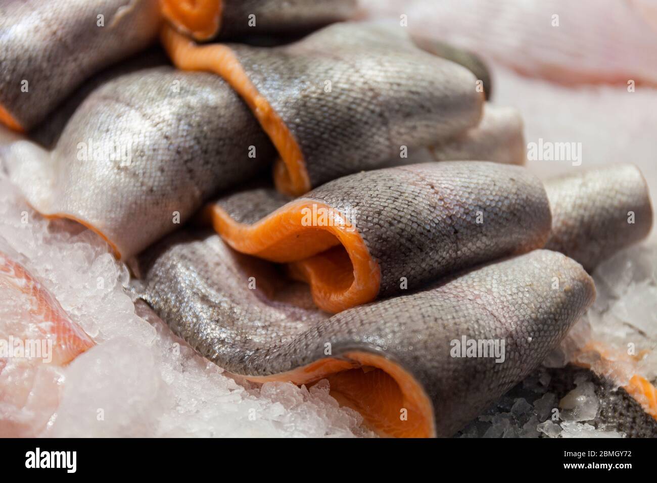 Gekühltes Filet von rotem Fisch. Fischstücke liegen auf Eis. Ladentisch für Tiefkühlschränke. Der Fisch liegt auf Eis. Lachs. Nahaufnahme Foto. Stockfoto