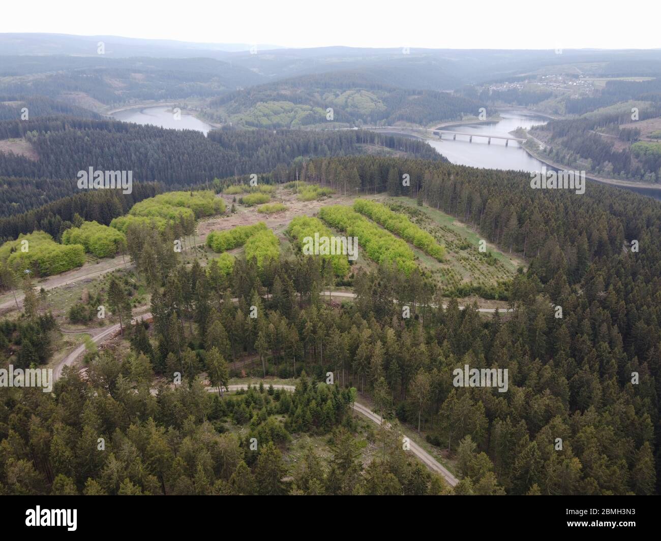 Luftaufnahme der Aufforstung in Deutschland. Harz mit Oker-Staudamm in Niedersachsen, Deutschland. Stockfoto