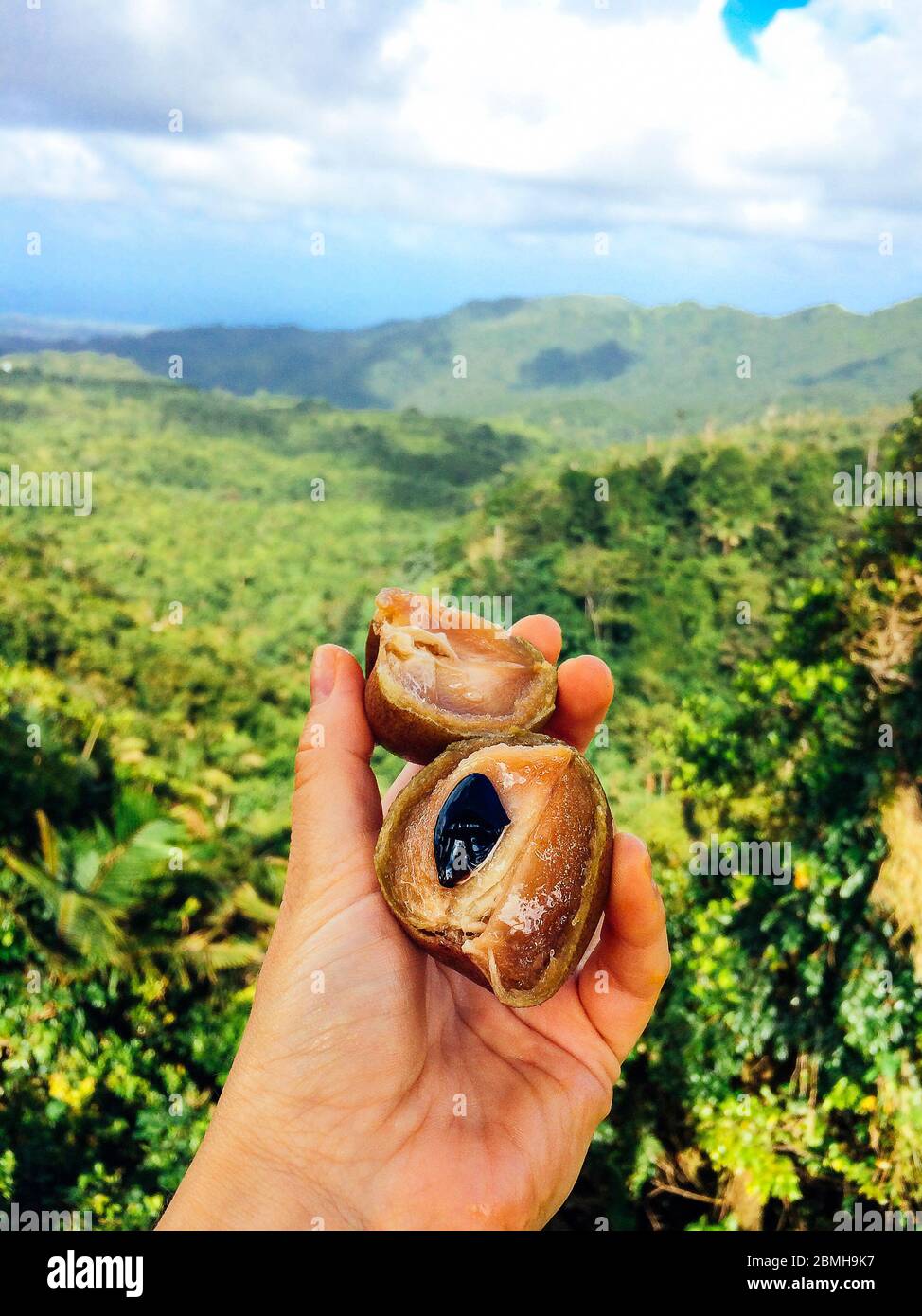 Produce of grenada -Fotos und -Bildmaterial in hoher Auflösung – Alamy