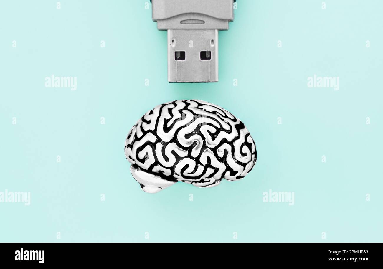 Flaches Layout einer detaillierten Miniatur-Kopie des menschlichen Gehirns und einer USB-Schnittstelle eines Flash-Laufwerks auf hellblauem Hintergrund isoliert. Stockfoto