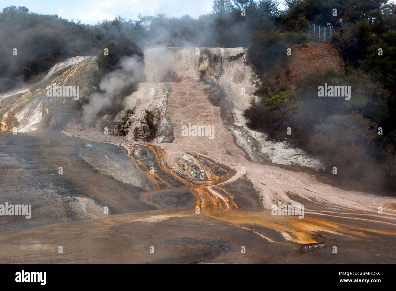 Orakei Korako Thermal Park, Taupo Volcanic Zone, Neuseeland. Stockfoto